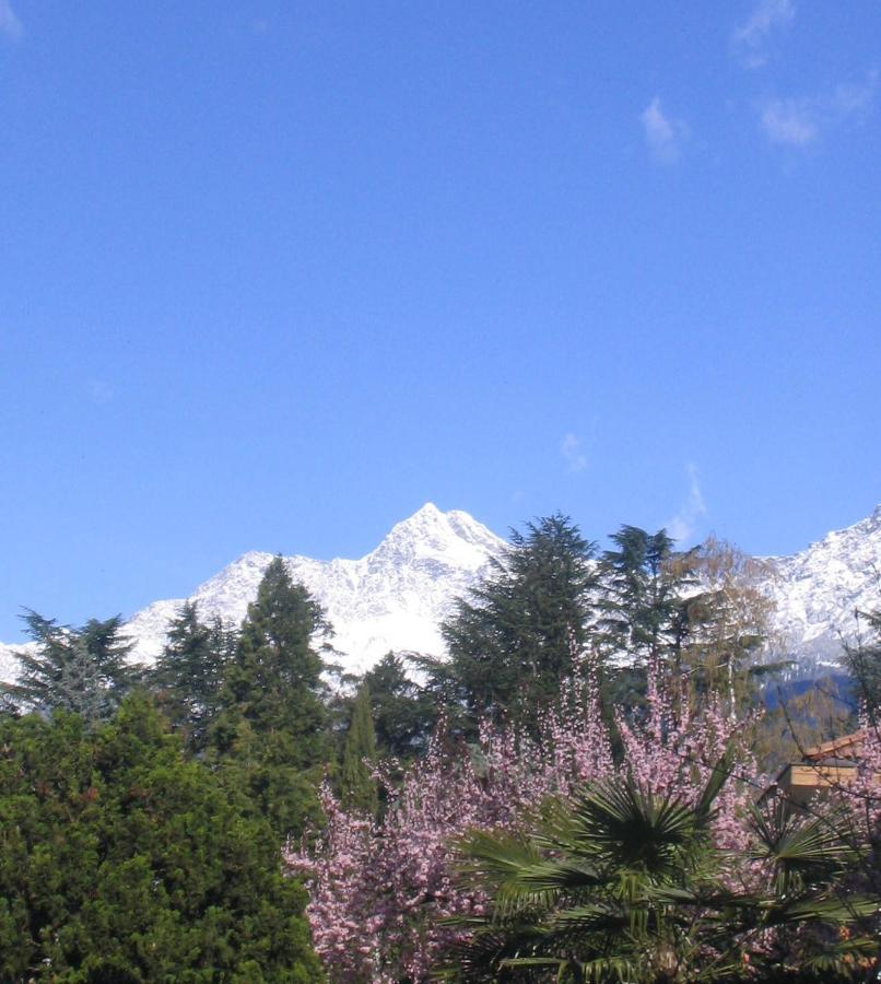Hotel Zima Merano Esterno foto